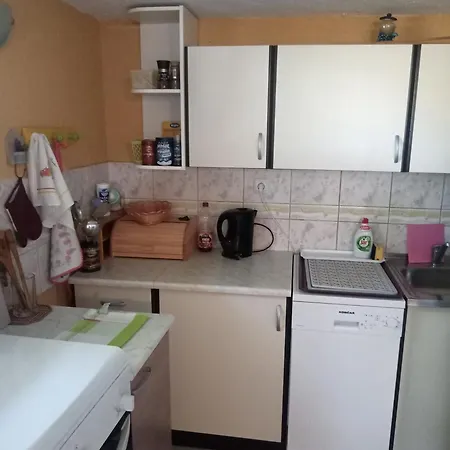 Apartment Carpe Diem B Vinjerac